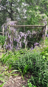 languedoc farm