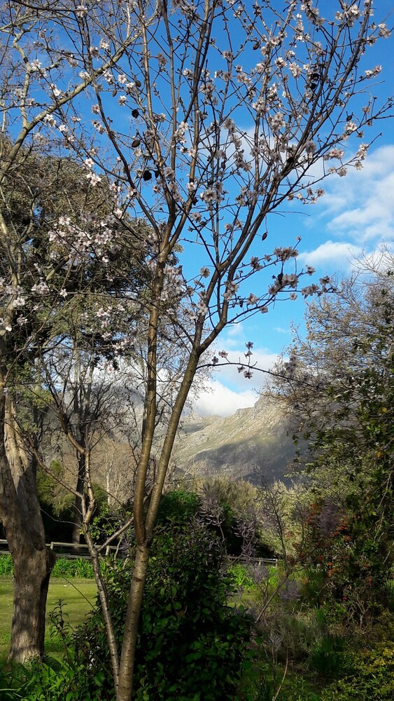 languedoc farm