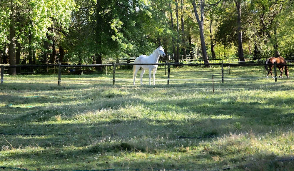 languedoc farm