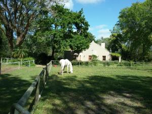 languedoc farm