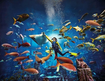 atlantis the royal