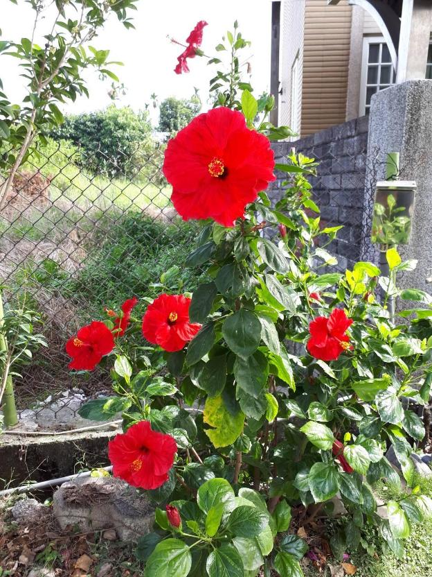 adu bed and breakfast