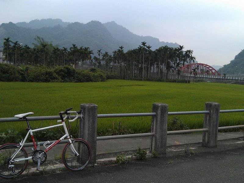 adu bed and breakfast