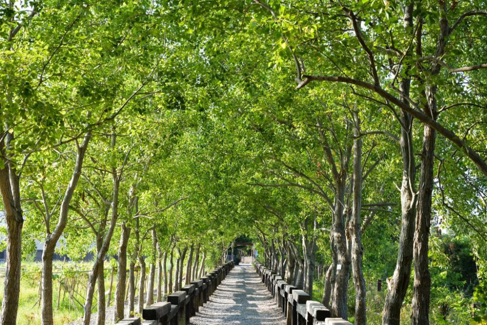 liyuan villa guesthouse