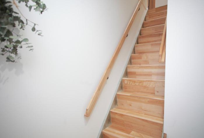 intro tamagawa
