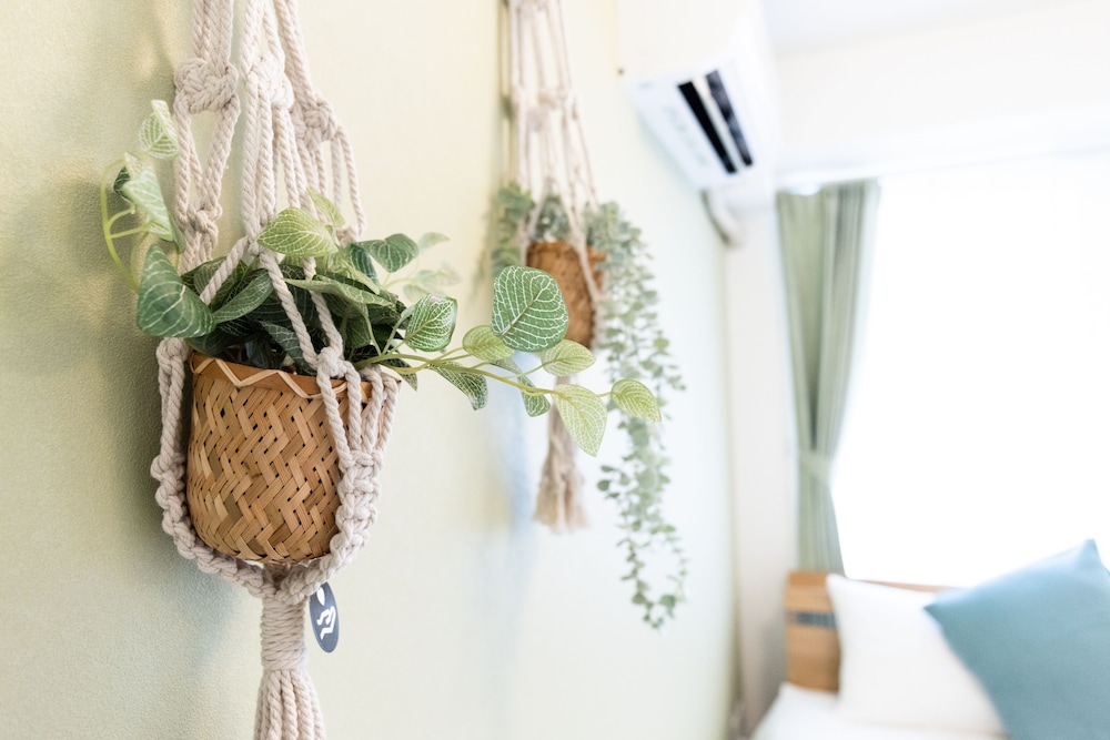 kikus room