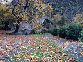 konitsa