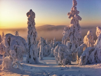 Design Hotel Levi,Lapland>>Kittila,5 star