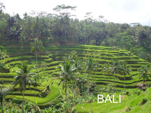 ubud