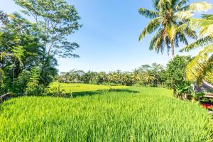 ubud