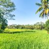 ubud