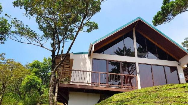 green forest vacations homes