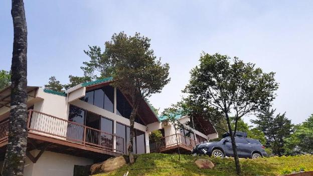green forest vacations homes