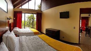 green forest vacations homes