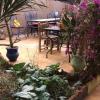 zaid house