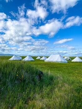 camp boutique glamping