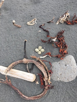 camp boutique glamping