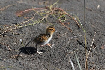 camp boutique glamping