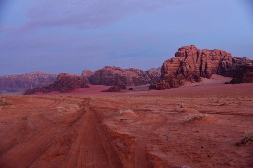 desert lovers camp