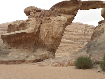 desert lovers camp