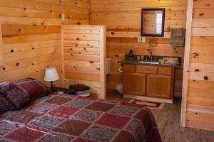 zions cozy cabins