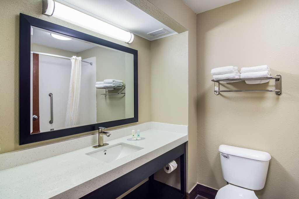 quality inn and suites canton ga