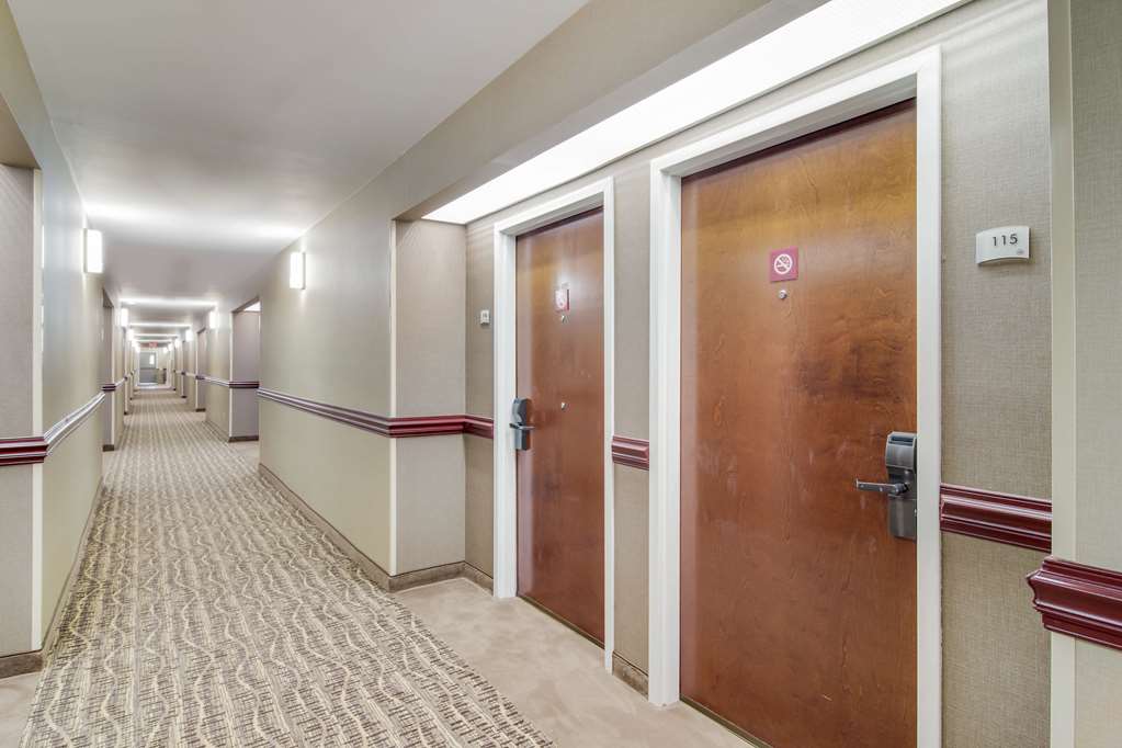 quality inn and suites canton ga