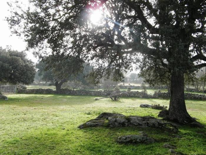 la trocha de hoyorredondo