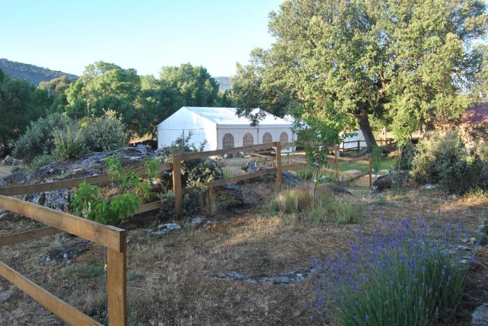 la trocha de hoyorredondo