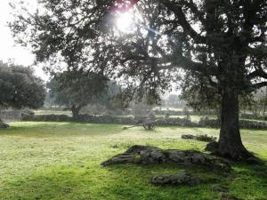 la trocha de hoyorredondo