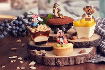 disney explorers lodge