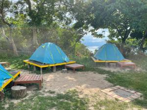 hong kong island yha jockey club mt davis youth hostel