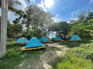 hong kong island yha jockey club mt davis youth hostel