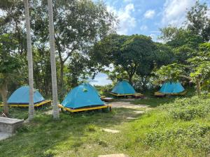 hong kong island yha jockey club mt davis youth hostel