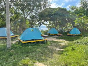hong kong island yha jockey club mt davis youth hostel