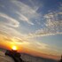 lamma island
