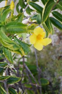 guest house stella rina