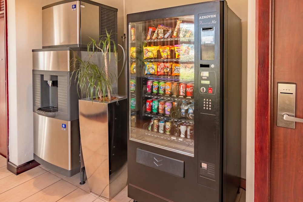 town lodge bellville