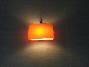 comfort guest house