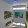 orient guesthouse auberge