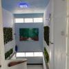 orient guesthouse auberge