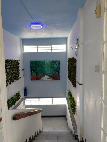 orient guesthouse auberge