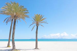 alcudia