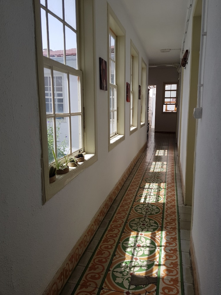 ratones de biblioteca hostel