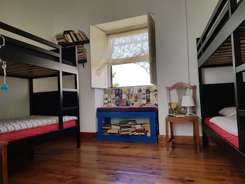 ratones de biblioteca hostel