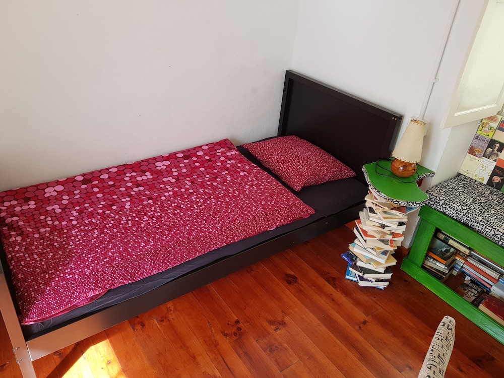 ratones de biblioteca hostel