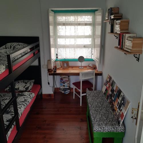 ratones de biblioteca hostel
