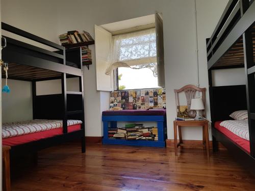 ratones de biblioteca hostel