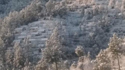 mukteshwar