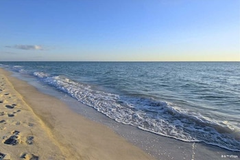 Waves,,4 star